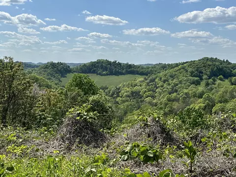 0 Dale Ridge Rd, Lancaster, TN 38569