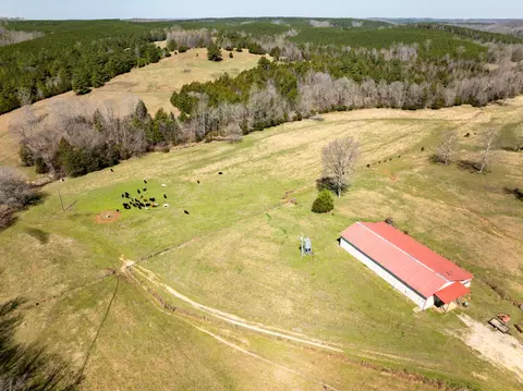 View/Area - 2425 Smith Fork Rd, Olivehill, TN 38475 photo 17 of 27
