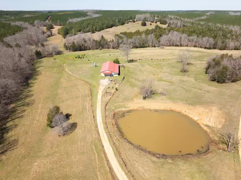 View/Area - 2425 Smith Fork Rd, Olivehill, TN 38475 photo 18 of 27