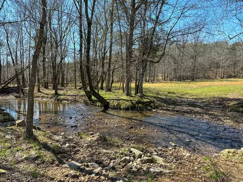 View/Area - 2425 Smith Fork Rd, Olivehill, TN 38475 photo 1 of 27