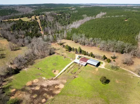 View/Area - 2425 Smith Fork Rd, Olivehill, TN 38475 photo 15 of 27