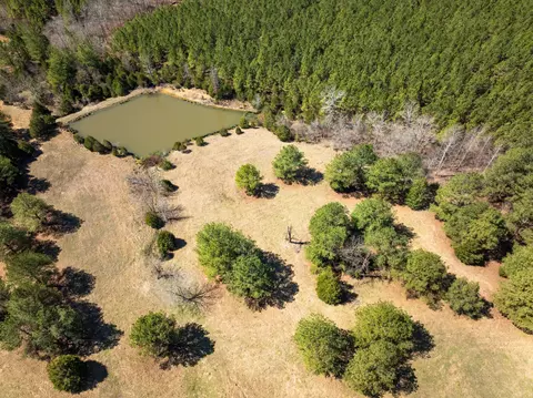 View/Area - 2425 Smith Fork Rd, Olivehill, TN 38475 photo 22 of 27