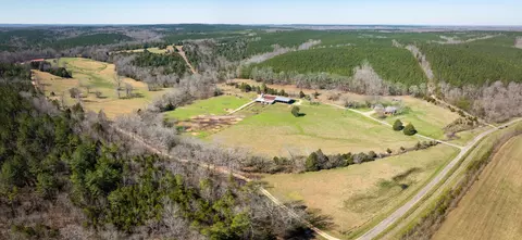 View/Area - 2425 Smith Fork Rd, Olivehill, TN 38475 photo 12 of 27