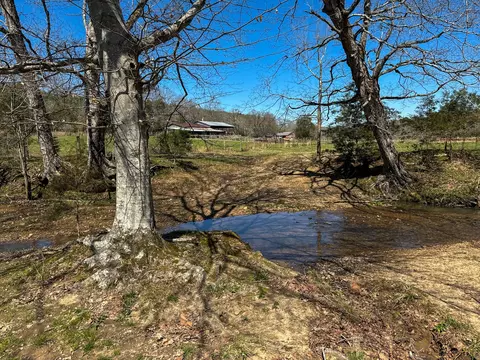 View/Area - 2425 Smith Fork Rd, Olivehill, TN 38475 photo 4 of 27