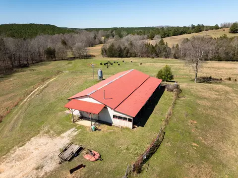 View/Area - 2425 Smith Fork Rd, Olivehill, TN 38475 photo 16 of 27