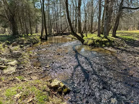 View/Area - 2425 Smith Fork Rd, Olivehill, TN 38475 photo 9 of 27