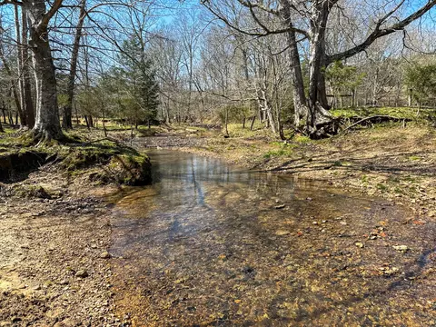 View/Area - 2425 Smith Fork Rd, Olivehill, TN 38475 photo 5 of 27