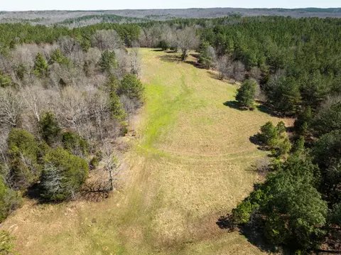 View/Area - 2425 Smith Fork Rd, Olivehill, TN 38475 photo 19 of 27