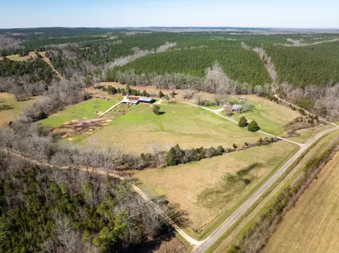 View/Area - 2425 Smith Fork Rd, Olivehill, TN 38475 photo 11 of 27