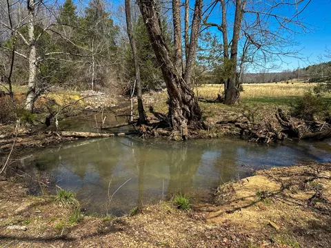 View/Area - 2425 Smith Fork Rd, Olivehill, TN 38475 photo 2 of 27