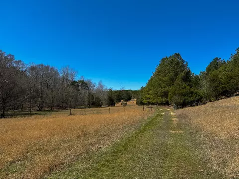 Exterior - 2425 Smith Fork Rd, Olivehill, TN 38475 photo 4 of 16