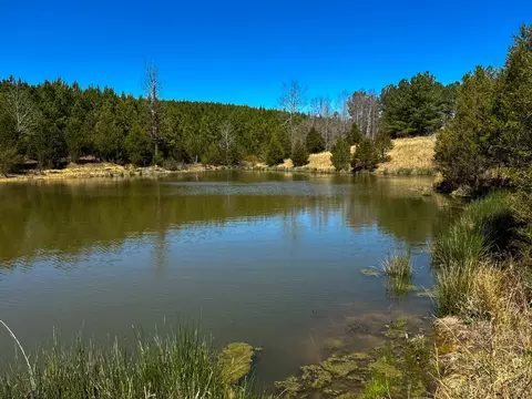 View/Area - 2425 Smith Fork Rd, Olivehill, TN 38475 photo 3 of 27