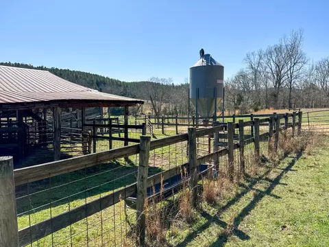 View/Area - 2425 Smith Fork Rd, Olivehill, TN 38475 photo 27 of 27