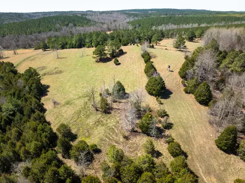 View/Area - 2425 Smith Fork Rd, Olivehill, TN 38475 photo 21 of 27