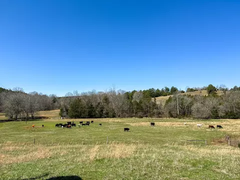 Exterior - 2425 Smith Fork Rd, Olivehill, TN 38475 photo 2 of 16