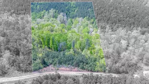 160 Benjamin Trl, Hohenwald, TN 38462