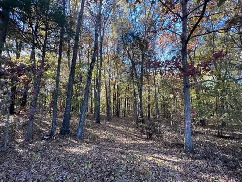 9 Gibbs Rd, Woodlawn, TN 37191