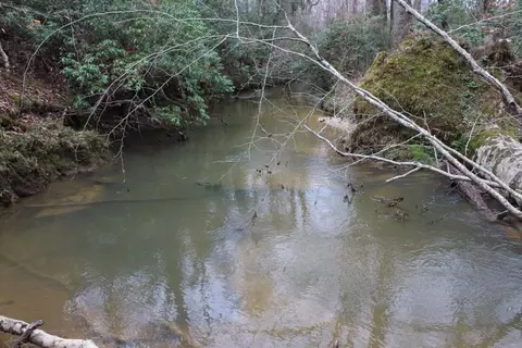 210 Sparrow Dr, Trenton, GA 30752