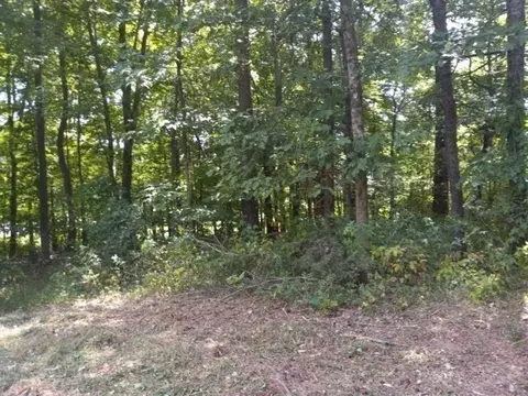310 Rock Mcclain Rd, Dresden, TN 38225