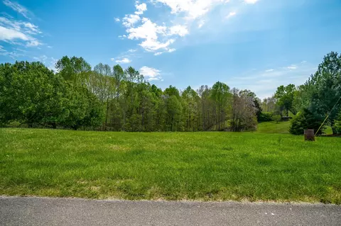 0 Eagle Creek Rd, Monroe, TN 38573 photo 8