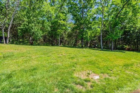 1002 Candytuft Ct, Franklin, TN 37067 photo 39