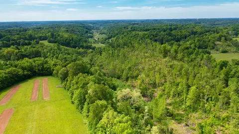 0 Young Rd, Pulaski, TN 38478 photo 17