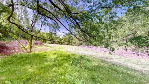 0 Young Rd, Pulaski, TN 38478 photo 9