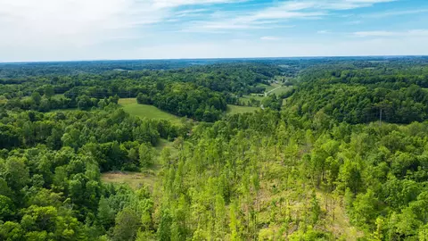 0 Young Rd, Pulaski, TN 38478 photo 16