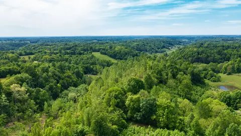0 Young Rd, Pulaski, TN 38478 photo 18