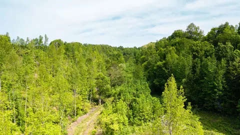 0 Young Rd, Pulaski, TN 38478 photo 23