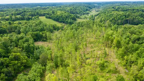0 Young Rd, Pulaski, TN 38478 photo 2