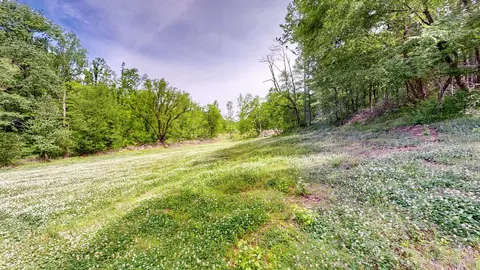 0 Young Rd, Pulaski, TN 38478 photo 7