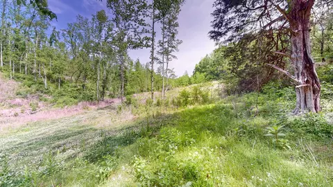 0 Young Rd, Pulaski, TN 38478 photo 8
