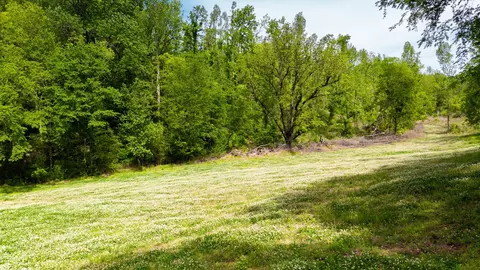 0 Young Rd, Pulaski, TN 38478 photo 21