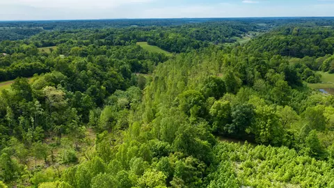 0 Young Rd, Pulaski, TN 38478 photo 19
