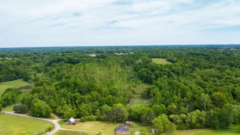 0 Young Rd, Pulaski, TN 38478 photo 12