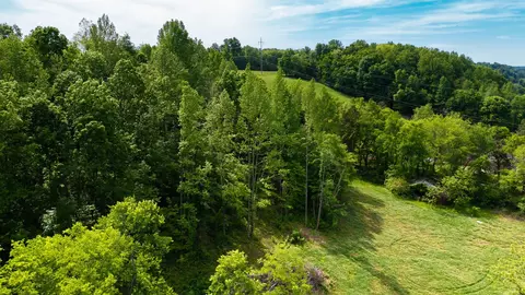 0 Young Rd, Pulaski, TN 38478 photo 25