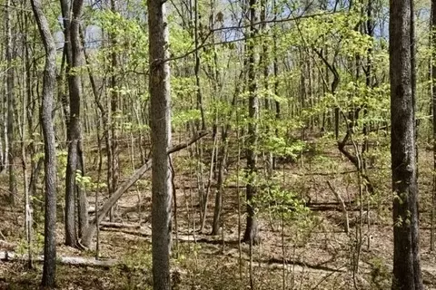 1 Whiteoak Swamps Rd, Dunlap, TN 37327