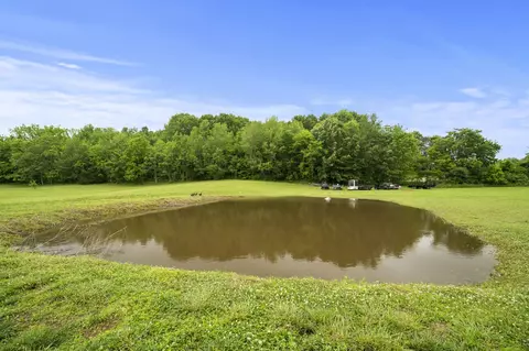 6487 Highway 161, Springfield, TN 37172 photo 43