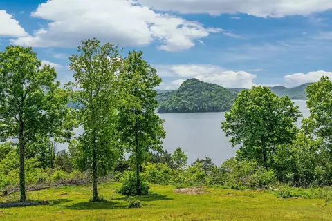0 Harbor Ct, Silver Point, TN 38582 photo 7