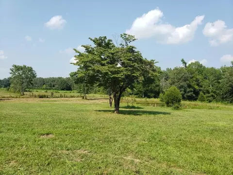 0 Money Rd, Manchester, TN 37355