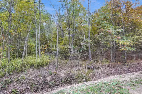 0 Blossom Dr, Dover, TN 37058 photo 6