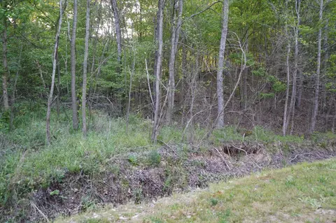 0 Blossom Dr, Dover, TN 37058 photo 4