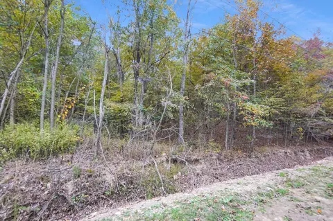 0 Blossom Dr, Dover, TN 37058 photo 7