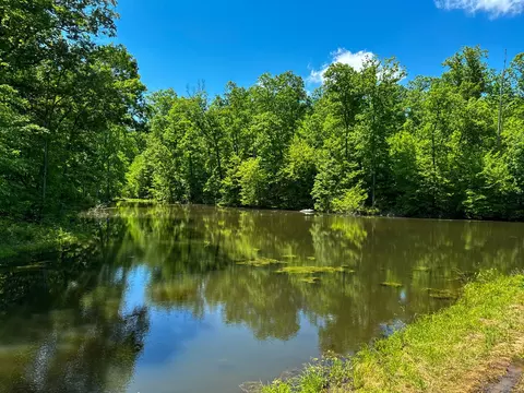 0 Mays Town Rd, Parsons, TN 38363
