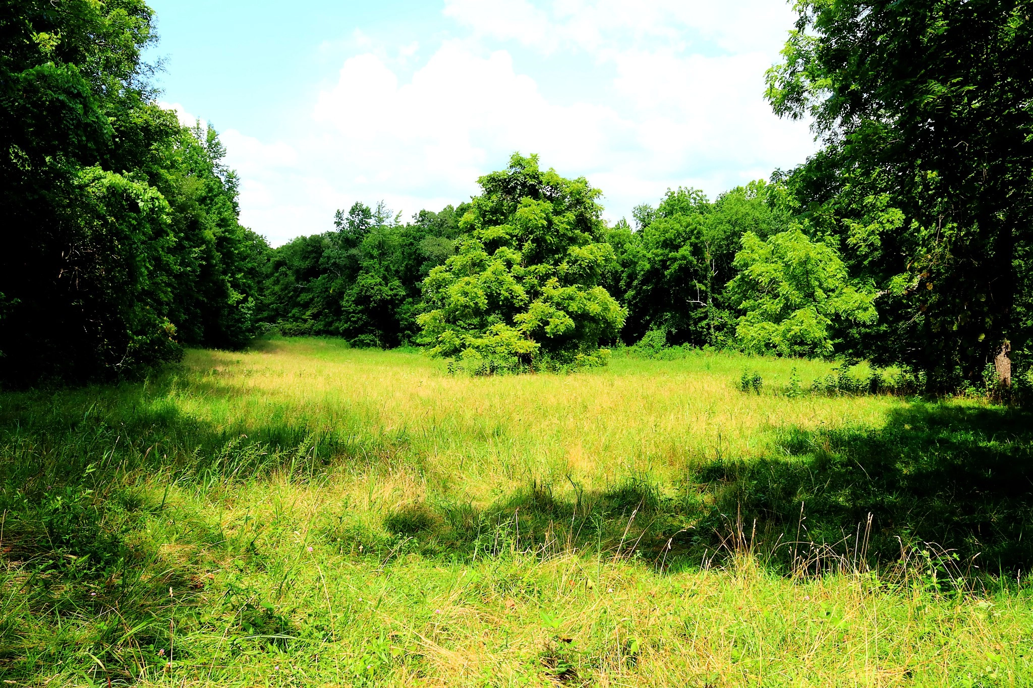 0 Terrapin Run Rd  