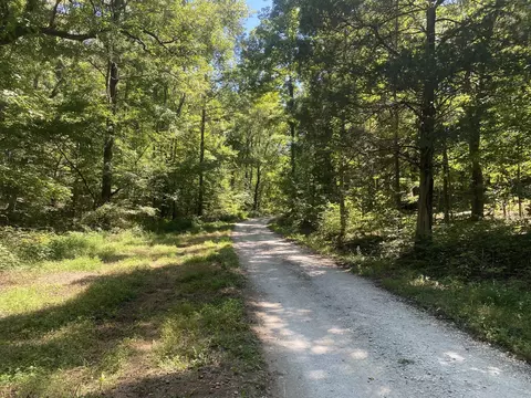 0 Mcbride Ln, Mcewen, TN 37101 photo 10
