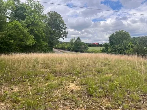 0 Martins Chapel Rd, Mcminnville, TN 37110