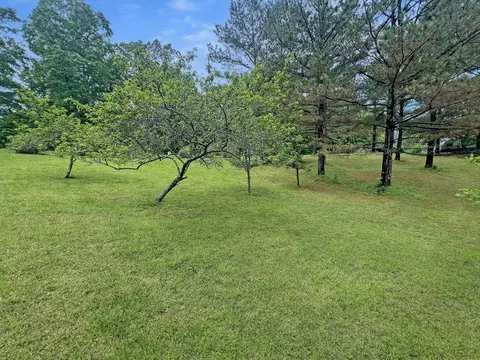 116 Jonathan Gap, Dover, TN 37058 photo 25