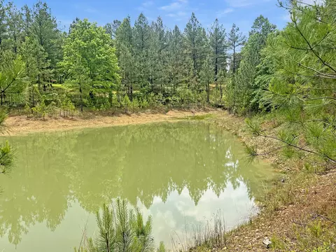 116 Jonathan Gap, Dover, TN 37058 photo 7